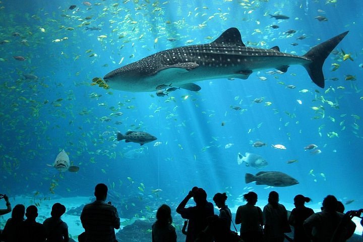 Siam Paragon SEA LIFE Bangkok Ocean World